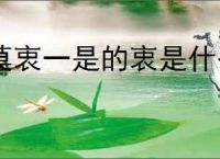 莫衷一是的衷是什么意思