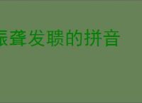 振聋发聩的拼音