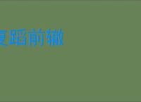 复蹈前辙