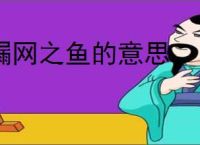 漏网之鱼的意思