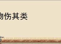 物伤其类