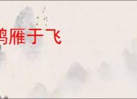 鸿雁于飞