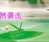 突然袭击