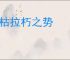 摧枯拉朽之势