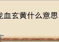 龙血玄黄什么意思