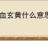 龙血玄黄什么意思