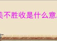 美不胜收是什么意思