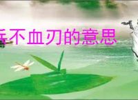 兵不血刃的意思