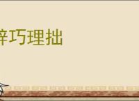 辞巧理拙