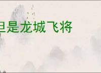 但是龙城飞将