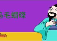 马毛蝟磔