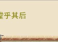 瞠乎其后