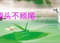 顾头不顾尾