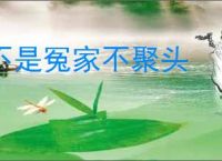 不是冤家不聚头