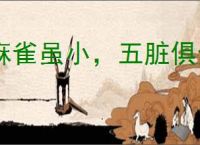 麻雀虽小，五脏俱全