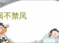 弱不禁风