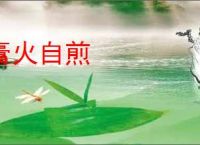 膏火自煎
