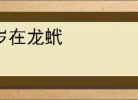 岁在龙蚮