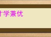 才学兼优