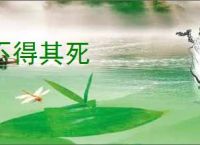 不得其死
