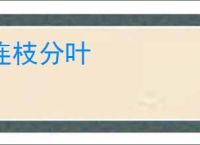 连枝分叶