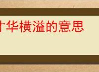 才华横溢的意思