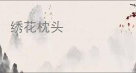 绣花枕头