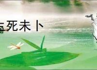 生死未卜