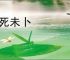 生死未卜