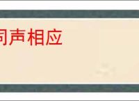 同声相应