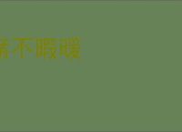 席不暇暖