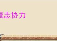 辑志协力