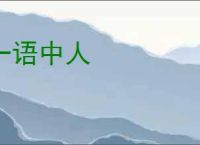 一语中人