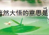 恍然大悟的意思是