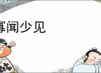 寡闻少见