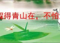 留得青山在，不怕没柴烧