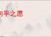 向平之愿