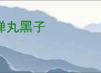 弹丸黑子