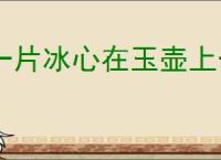一片冰心在玉壶上一句