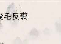 爱毛反裘