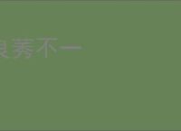 良莠不一