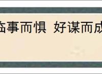 临事而惧 好谋而成
