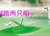 脚踏两只船