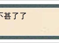 不甚了了
