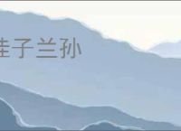 桂子兰孙
