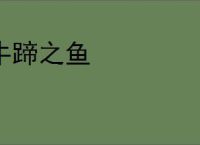 牛蹄之鱼