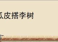 瓜皮搭李树