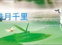 皓月千里