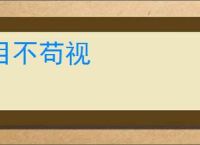 目不苟视