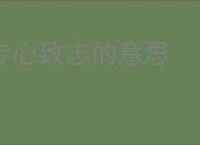 专心致志的意思